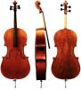 Violoncel Gewa Cello Instrumenti Liuteria Maestro I