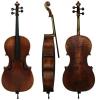 Violoncel Gewa Cello Instrumenti Liuteria Maestro I Antique