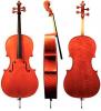 Violoncel gewa cello instrumenti liuteria maestro ii