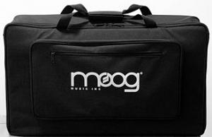 Gig bag