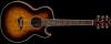 Dean Performer Florentine Quilt - Trans Brazil