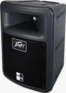 Peavey PR 10P Class Boxa profesionala pasiva