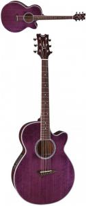 Dean Performer Acoustic/Electric - Trans-power