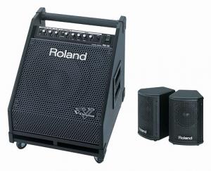 Roland PM-30: Monitor de tobe