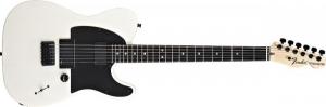 Fender Jim Root Telecaster - chitara electrica