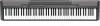 Casio cdp100 - digital piano