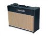 Flextone III Cabinet combo chitara