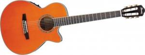 Ibanez AEG10NE Nylon String Cutaway Acoustic-Electric Guitar