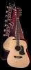 Aria agpn-003 acoustic guitar package