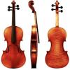 Gewa violin instrumenti liuteria maestro v