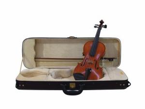 DIMAVERY Violin High-Grade 4/4 with Bow