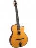 Gitane dg-255 style jazz guitar - petite bouch