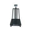 Cantar platforma Desis CW-S 300/550 kg  60x70cm (Capacitate cantarire - 550 kg)