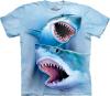 Tricou great white sharks