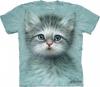 Tricou blue eyed kitten