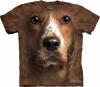 Tricou welsh springer spaniel face