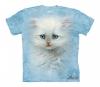 Tricou copiii fluffy white kitten