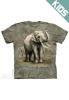 Tricou copii asian elephants