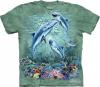 Tricou find 12 dolphins