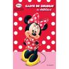 Carte de colorat cu abtibilduri minnie