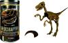Paleontologie - scheletul de velociraptor