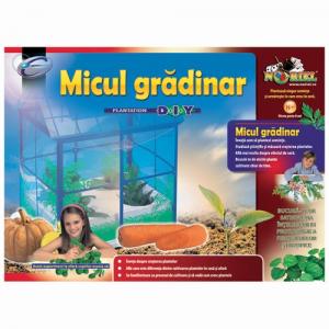 Micul gradinar