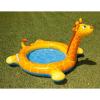 Piscina girafa cu pulverizator