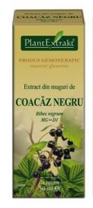 Extract din muguri de COACAZ NEGRU, de la Plant Extract