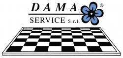 FRANCIZA DAMA SERVICE