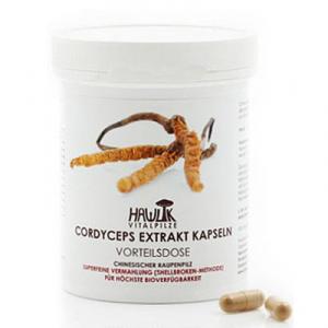 Cordyceps Extract 60cps