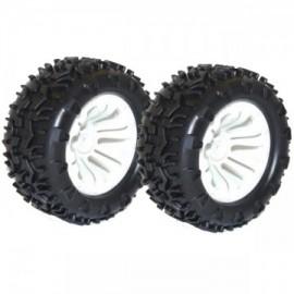 Roti Automodel Monster Truck/Truggy  1/10, hex 12mm