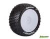 Roti Louise RC E-Hornet Buggy 1/10 2WD/4WD spate SuperSoft Hex 12