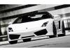 Kit exterior lamborghini gallardo lp 560-4 body kit