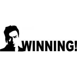 Stickere auto Charlie Sheen winning