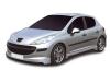 Prelungire spoiler Peugeot 207 Extensie Spoiler Fata Storm - motorVIP - A03-PE207_FBESTO
