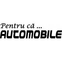 Stickere auto Pentru ca automobile