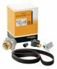 Kit Distributie CT1025K1 Opel Vivaro   - KDC26733