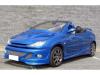 Kit exterior peugeot 206 cc body kit radical -