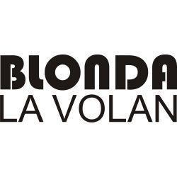 Stickere auto Blonda la Volan