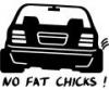 Stickere auto silueta no fat chicks