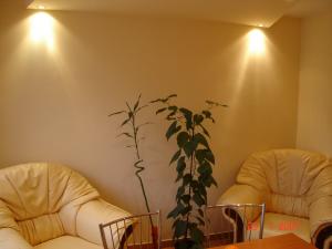 Apartament bistrita