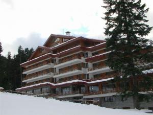 Ski 2012-2013 Bulgaria Borovets Hotel Yanakiev 4* - demipensiune