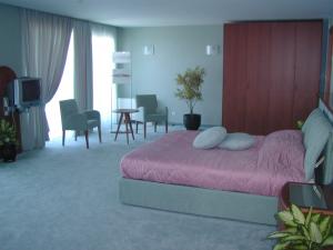 Vara 2010 Bulgaria Nisipurile de Aur Hotel Sofia 4* - Mic dejun/Demipensiune/All Inclusive