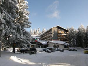 Ski 2010 - 2011 Bulgaria Pamporovo Hotel Grand Finlandia 4* - Demipensiune