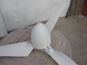 Rotor eolian