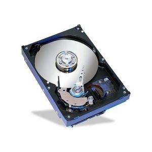 Seagate st3160813as
