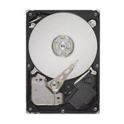 SEAGATE ST3250318AS