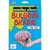 Bulging brains - kit experiment creierul uman