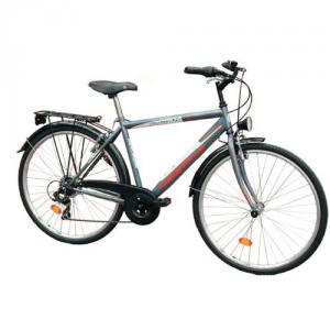 Bicicleta Trekking 2831