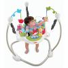 Centru activitati discover and grow jumperoo